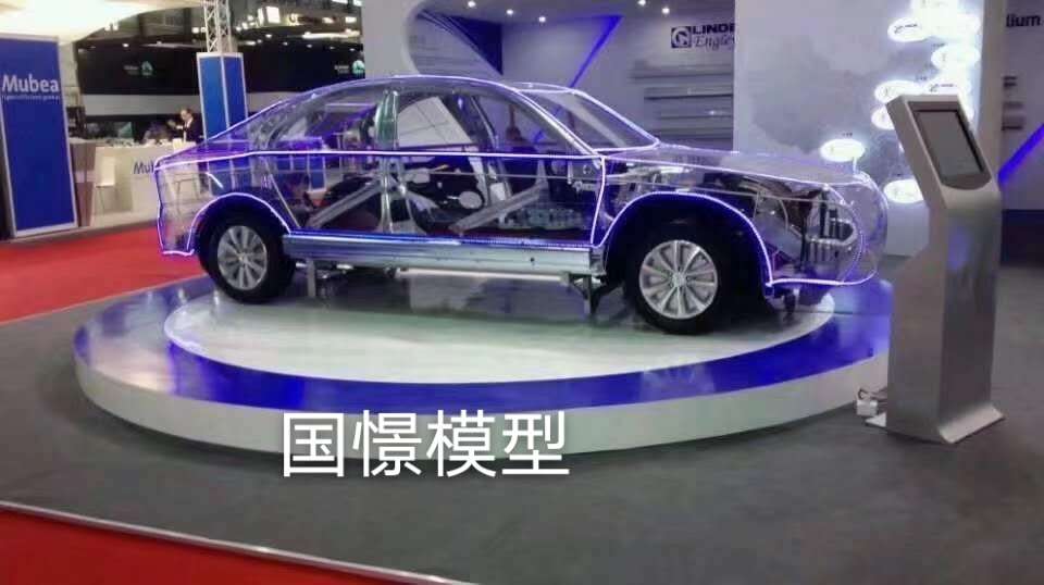 冠县透明车模型